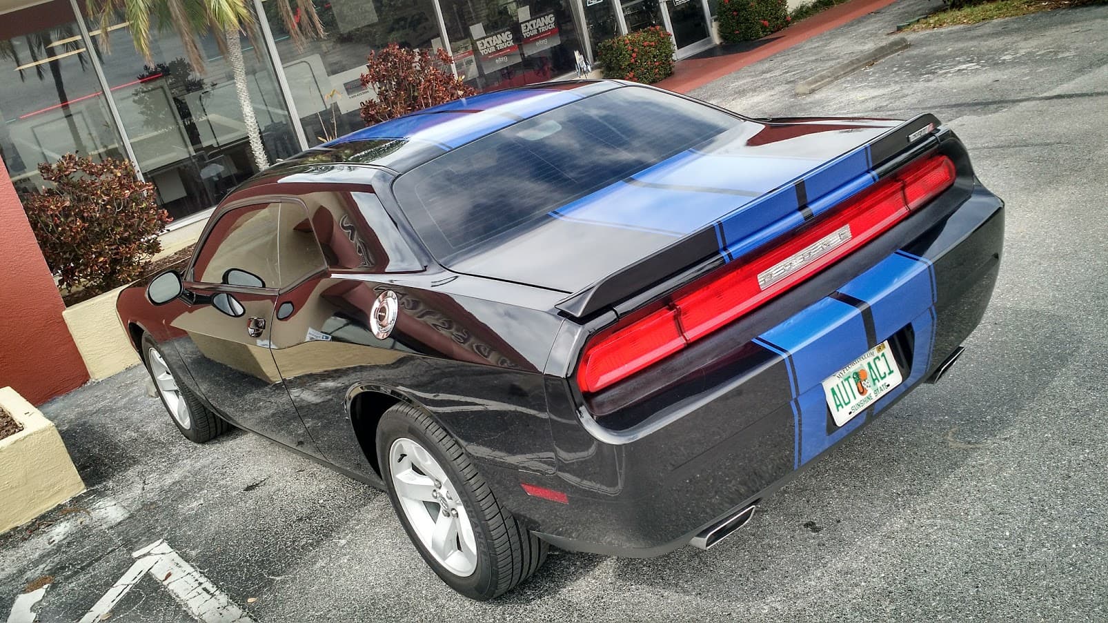 Custom vinyl graphics on custom vehicle by ATD Suncoast