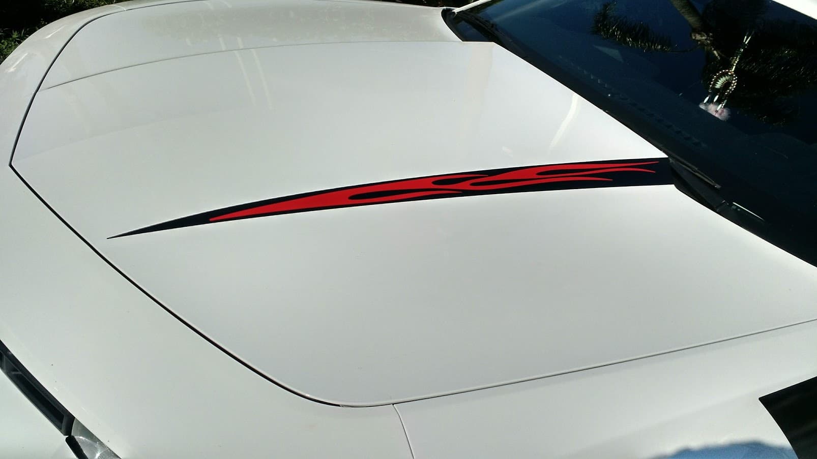 Custom vinyl graphics on custom vehicle by ATD Suncoast