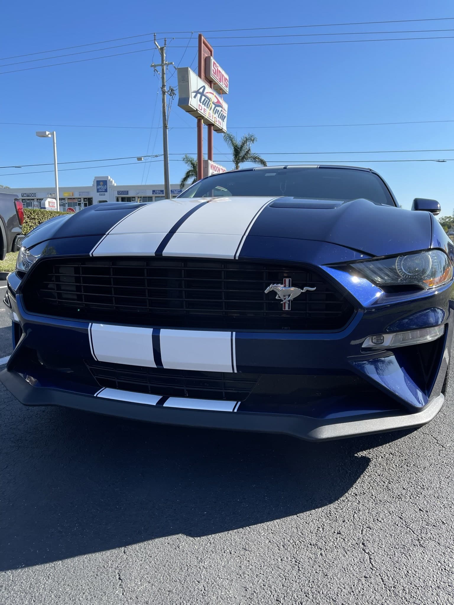 Custom vinyl graphics on custom vehicle by ATD Suncoast