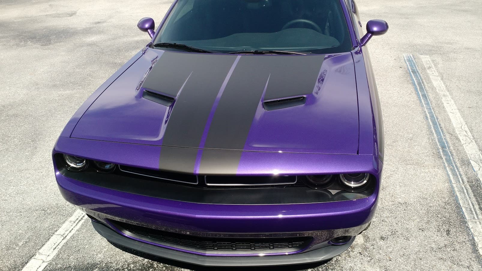 Custom vinyl graphics on custom vehicle by ATD Suncoast