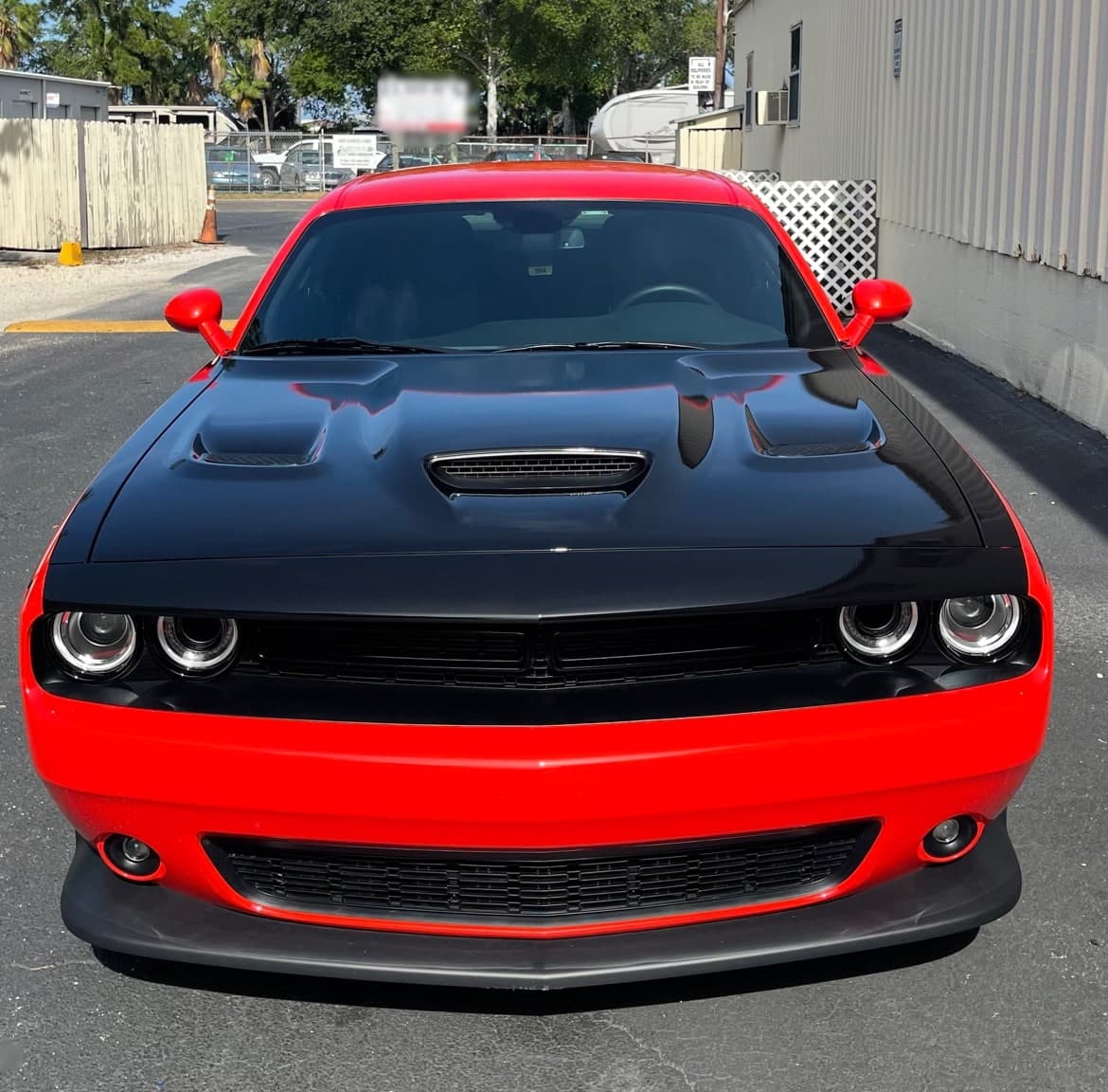 Vehicle wrap carbon fiber accent by Auto Trim Design Bradenton